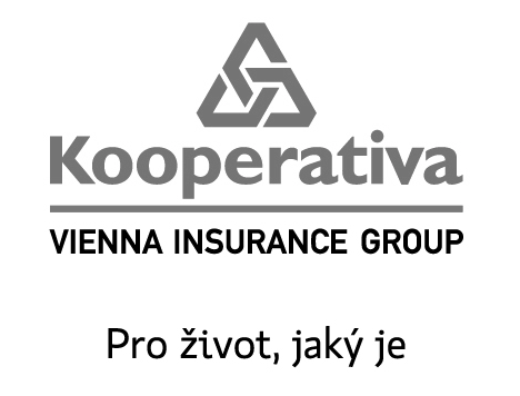 Kooperativa VIG