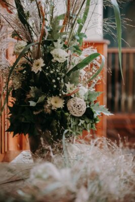 LVHF Mendelů (c) Pavel Kristian