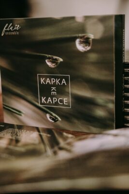 LVHF2020 Václav Hudeček & Ensemble Flair (c) Pavel Kristian