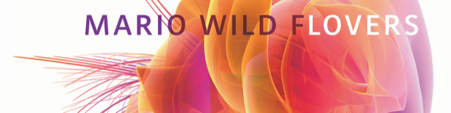 mario wild flowers