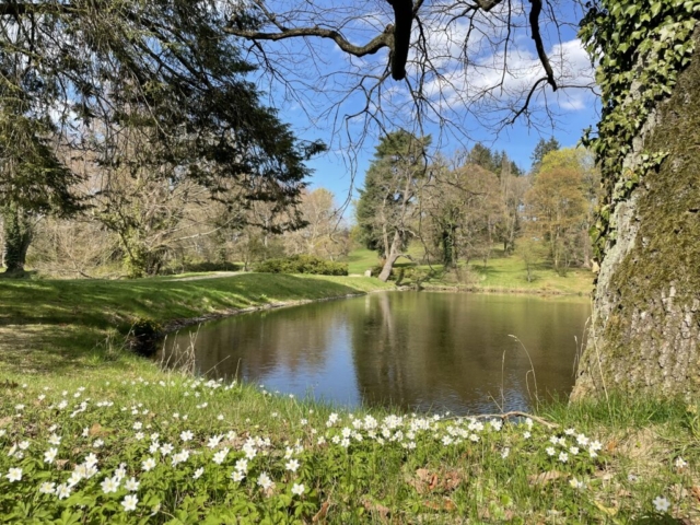 Park Vrchotovy Janovice, rybník za vraty