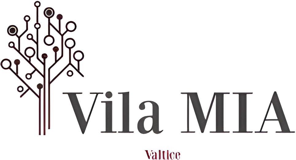 logo vila mia upscaled