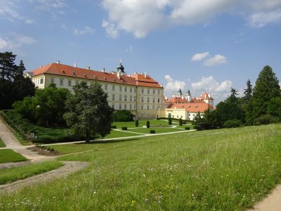 UVODNI FOTO Valtice americke dreviny