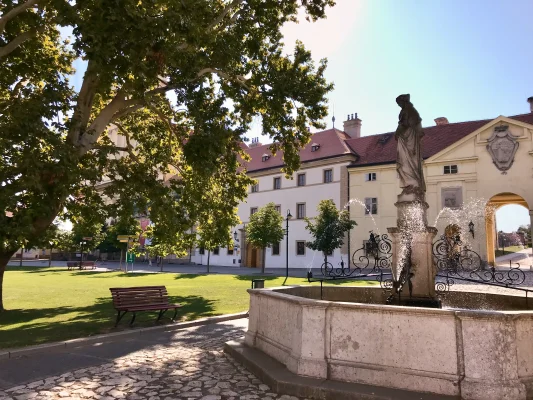 12 Galerie Korek result