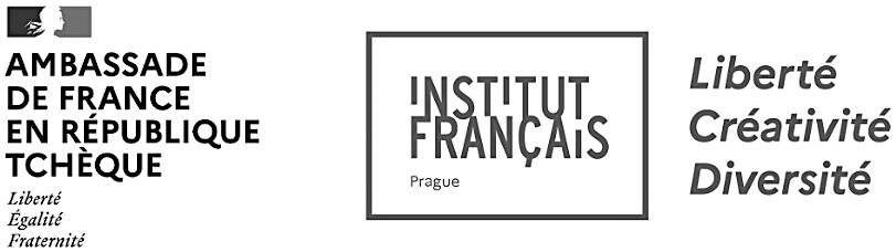 Institut français Prague